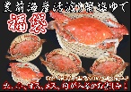 旬の肴問屋もり多 豊前海産渡り蟹塩茹で(活き状態1㎏～1.2㎏）冷凍　※3～5匹程度