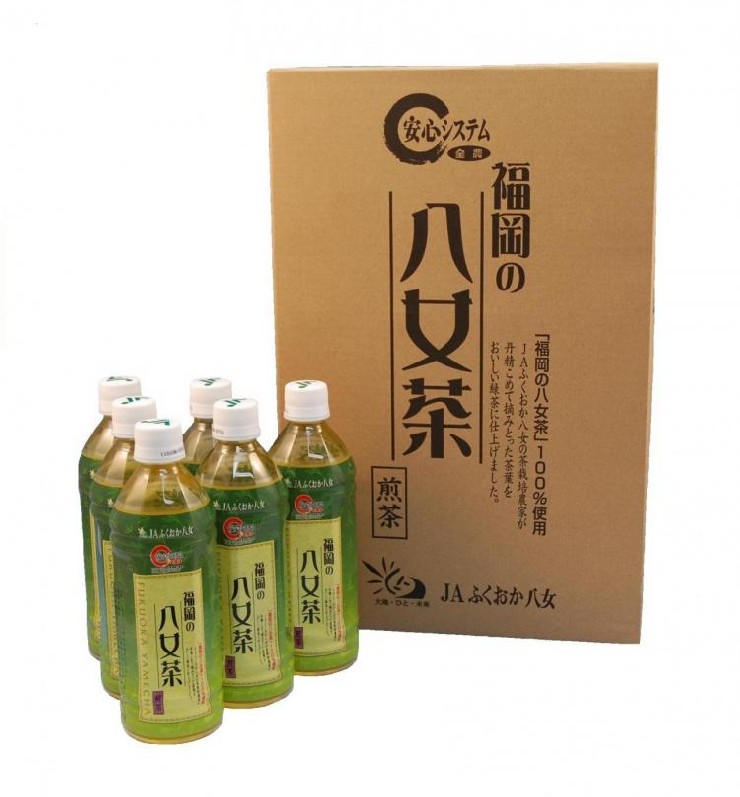 福岡の八女茶 煎茶ペットボトル 500ml×24本入 よかもん市場