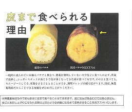 皮まで食べれる！無農薬栽培の国産バナナ約１㎏（訳あり） - よかもん市場