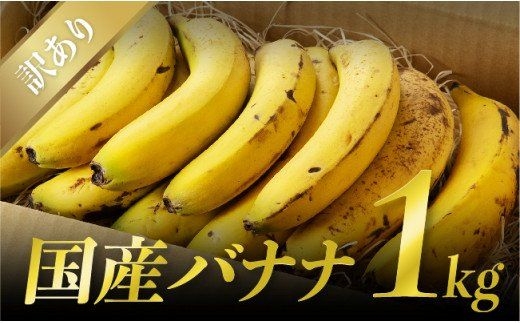 皮まで食べれる！無農薬栽培の国産バナナ約１㎏（訳あり） - よかもん市場