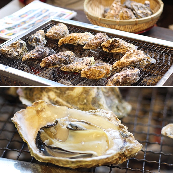 糸島牡蠣小屋の糸島カキ通販 たっぷり1kg ボイルむき身冷凍 500g 2袋セット よかもん市場